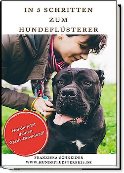 Kostenloses eBook "In 5 Schritten zum Hundeflüsterer"